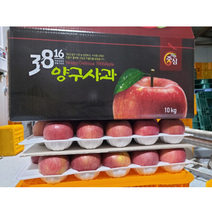 양구사과 42과~44과