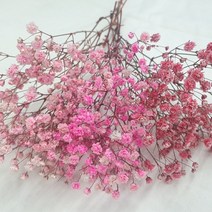 [플라라] 드라이플라워 프리저브드플라워 안개꽃 인테리어용, 02. 연빨강