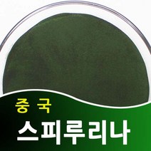 자연보감 중국산 스피루리나 분말 가루, 1개, 100g