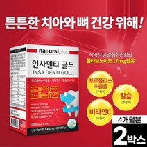 치아 영양제 인사 덴티 골드 60정 칼슘 프로폴리스 비타민C 부모님 어르신 노인 치아 뼈 건강 미국산, 2박스(4개월분)