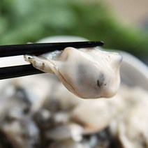 [통영 직송] 비린내 없는 햇 통영 생굴 1kg