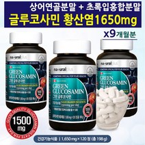 네츄럴플러스 그린글루코사민 1650mgx120정 3병