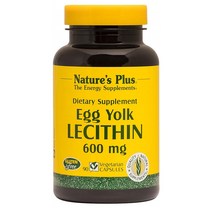 NaturesPlus 네이처스플러스 노른자 난황 레시틴 영양제 600mg 90베지캡슐, 1개, 1세트