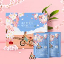 성탄절 사과꽃향기 사과즙 100mlX50팩 2박스 (총100팩) 크리스마스 에디션 한정판, 사과꽃향기 사과즙 100mlX30팩(