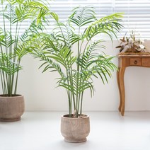 [쏘굿] BEST 생화같은 조화나무, 아레카야자 140cm, 1개
