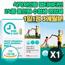 식약청 10대 청소년 수험생 고등학생 수험생 피로 체력 올인원 비타민 영양제 엽산 셀렌 눈 뼈 면역 필수 영양소