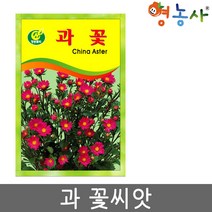 과꽃 씨앗 100립