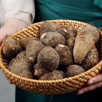 생토란 1kg x 3