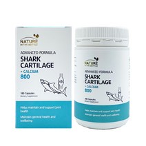 호주 상어연골 칼슘 800mg 6개월분 180정 네이쳐인더보틀, 1통 (180정 6개월분)