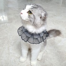 체크프릴 스카프 케이프 애완 반려동물, 레이스블랙, M