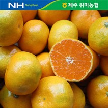 [더자연] 제주 위미농협 노지 감귤 5kg/일반, 상세 설명 참조