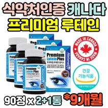 9개월 프리미엄 대용량 루테인 누테인 류태인 플러스 노인 어르신 부모님 직장인 회사원 수험생 청소년 눈 건강 침침 건조 도움 LUTEIN 홈쇼핑 영양제 선물 추천 효능