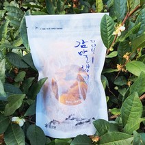 산청 지리산 감말랭이 500g _해오름약초