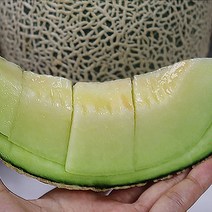 고당도메론선물세트 프리미엄산지직송머스크멜론, 머스크메론 8kg 3수