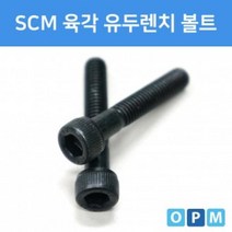 QSF756163AD)SCM 육각 렌치 볼트 M24x140 (1개)