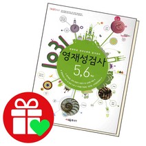 1031 영재성검사 5 6학년 : 영재학급 영재교육원 합격대비, 시매쓰