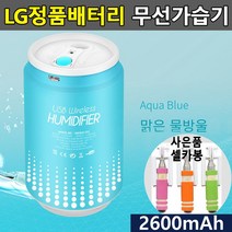 [굿딜앤쇼핑] LG셀 초음파 휴대용 무선가습기 USB충전식 미니가습기 #603EA 청소편한가습기 세척쉬운가습기 간편세척가습기 저소음가습기 가성비가습기, 아쿠아블루, 본상품선택