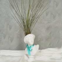 아트박스/모리아트 대만여인 석고상화분 틸란드시아 준세아+모스+리본, 호머