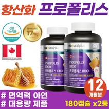 80대 노인 어르신 면역력 증진 구강항균 고함량 항산화제 목 기관지 케어 PROPOLIS 캐나다 직수입 항산화 잇몸 보조제 대용량 프로폴리스 활성산소 억제 편도에좋은 올인원 영양제