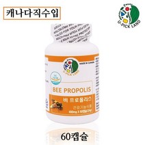 캐나다 비 프로폴리스 어린이 부모님 면역력 영양제