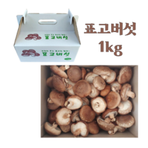 생 표고버섯 농장 산지직송 중품 1kg