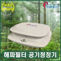 공기청정정화기 차량공기정화 소형휴대용 USB청정기, 본상품선택
