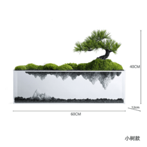 깨지지않는 가정용 아크릴수조 애완용거북이 금붕어 베타 수족관 열대어 구피 물고기키우기 어항, A타입