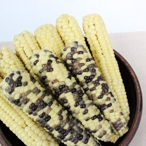 친환경팔도 [생산자직송] 무주 대학 미백 얼룩이 찰옥수수, 미백 12개(4팩)