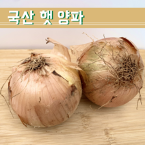 연호유통 국산 햇 양파 특대 (왕특사이즈) 3KG 5KG 10KG