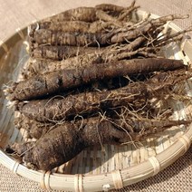 제주도더덕 햇더덕 흙더덕 (특/상/중), 가정용 중더덕 1kg