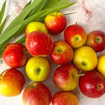 [홍이네] 간편한 미니사과 맛좋은 루비사과 고당도 신선함 그대로 안전배송, 1개, 1kg
