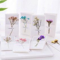 말린꽃카드/드라이플라워 카드/프리저브드플라워 카드*, 진핑크꽃