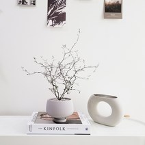 마오리 코로키아 소포라 인테리어 식물 토분 set, 코로키아+그레이 인테리어 화분