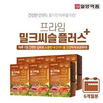 일양약품 청년 중년 남자 직장인 음주 회식 알콜성 비알콜성 간 에 좋은 고함량 밀크씨슬 실리마린 건강 영양제, 6BOX(6개월분), 0.9g, 6개