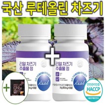 프리미엄 고농축 국내산 차즈기 차조기 차지기 차주기 차자기 붉은깻잎 보라색깻잎 루테올린 루테인 자소엽 자엽소 잎 차 티 캡슐 환 정 분말 가루 파우더 추출물 효능 효과 추천 1+1
