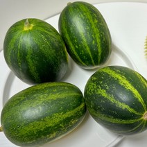 파파야메론 멜론 MELON 개구리참외 고당도, 메론 2kg