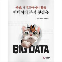 카오스북 엑셀 래피드마이너 활용 빅데이터 분석 첫걸음 +미니수첩제공