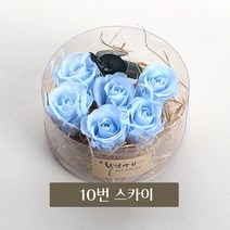 화연양화 미니장미 6개입 프리저브드플라워 시들지않는생화, 10 스카이