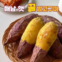 해남 화산황토 달달 햇 꿀밤고구마 3kg 5kg, 중 5kg