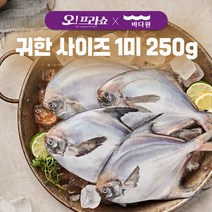 [바다원] 국내산 손질 은병어 9미 (총 중량 2.25kg 1미 250g), 국내산 손질병어 9미 (250g이상)