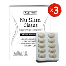 뉴와이즈 뉴슬림 시서스 가르시니아 HCA 750mg 90캡슐 식전다이어트 다이어트보조제, 3개 (-3000 할인)