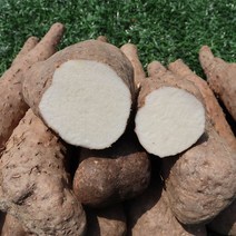 안동 신토불이 장마 알뜰마, 중품 장마 5kg, 1개