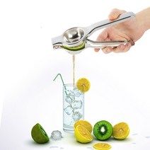과일착즙기 스퀴저 citrus press manual juicer stainless, 없음