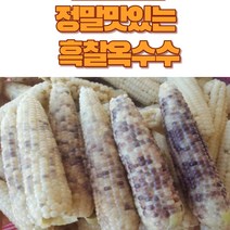정자농원 농부직송 흑찰옥수수 선별 괴산햇찰옥수수 생물옥수수 맛있는 옥수수, 50개