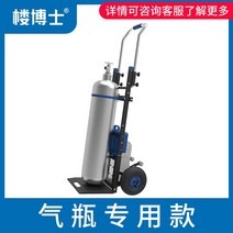 브리네가게 전동리프트 계단운반기 택배카트 전동카트, 500캐티건축(PT250D)배터리 2개 포함