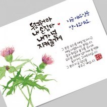 그레이스 엽서전도지_2-1 예수님을 만나보세요(엉겅퀴), 2500매