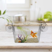 물고기키우기 투명 아크릴 물고기 탱크 사육 격리 상자 수족관 부화장 인큐베이터 홀더