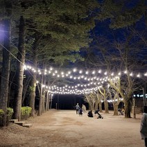 파티라이트 스트링라이트 전등선 방우 LED 8W 벌브 전구 포함 야외조명 경관조명 루프탑 캠핑 까페 펜션용 감성조명 무드조명, 11M10구+LED 벌브 8W 전구색 (노란빛)12개