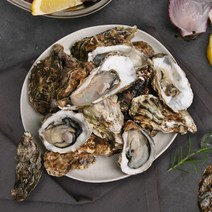 남해직송 통영 굴 석화 찜 구이용 각굴, 2. 석화 8kg, 1개