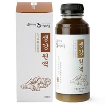 지구마을 프리미엄 생강차 생강청 생강원액, 350ml, 1병